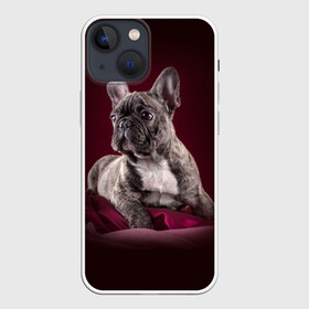 Чехол для iPhone 13 mini с принтом Бульдог ,  |  | бульдог | кутёнок | прикольные картинки | собака | щенок