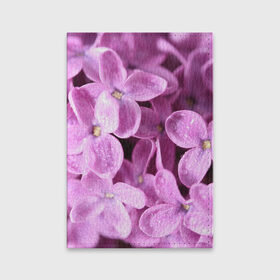 Обложка для паспорта матовая кожа с принтом Цветы сирени , натуральная матовая кожа | размер 19,3 х 13,7 см; прозрачные пластиковые крепления | девушкам | сирень | цветы