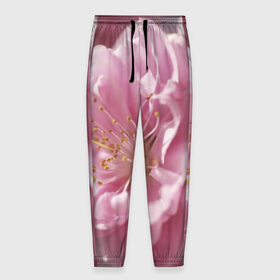 Мужские брюки 3D с принтом Розовые цветы , 100% полиэстер | манжеты по низу, эластичный пояс регулируется шнурком, по бокам два кармана без застежек, внутренняя часть кармана из мелкой сетки | девушкам | розы | цветочки | цветы