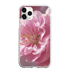 Чехол для iPhone 11 Pro матовый с принтом Розовые цветы , Силикон |  | девушкам | розы | цветочки | цветы