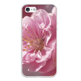 Чехол для iPhone 5/5S матовый с принтом Розовые цветы , Силикон | Область печати: задняя сторона чехла, без боковых панелей | девушкам | розы | цветочки | цветы