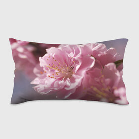 Подушка 3D антистресс с принтом Розовые цветы , наволочка — 100% полиэстер, наполнитель — вспененный полистирол | состоит из подушки и наволочки на молнии | девушкам | розы | цветочки | цветы
