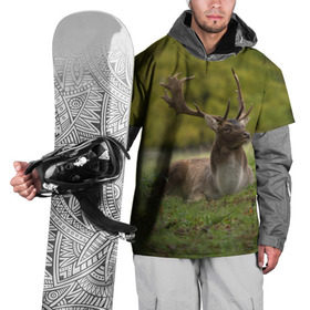 Накидка на куртку 3D с принтом Олень , 100% полиэстер |  | животные | лес | охота | природа | туризм