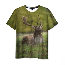 Мужская футболка 3D с принтом Олень , 100% полиэфир | прямой крой, круглый вырез горловины, длина до линии бедер | Тематика изображения на принте: животные | лес | охота | природа | туризм