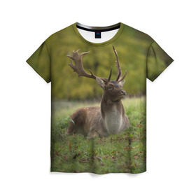 Женская футболка 3D с принтом Олень , 100% полиэфир ( синтетическое хлопкоподобное полотно) | прямой крой, круглый вырез горловины, длина до линии бедер | животные | лес | охота | природа | туризм