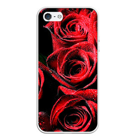 Чехол для iPhone 5/5S матовый с принтом Розы , Силикон | Область печати: задняя сторона чехла, без боковых панелей | алый | красный | роса | фото | цветы