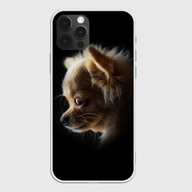 Чехол для iPhone 12 Pro Max с принтом Чихуахуа , Силикон |  | Тематика изображения на принте: голова животного | прикольные картинки | собака | чихуахуа | щенок