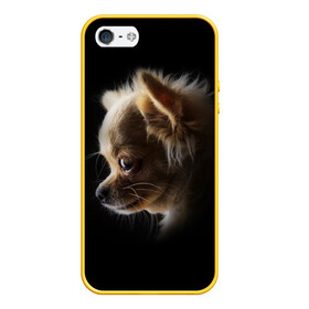 Чехол для iPhone 5/5S матовый с принтом Чихуахуа , Силикон | Область печати: задняя сторона чехла, без боковых панелей | Тематика изображения на принте: голова животного | прикольные картинки | собака | чихуахуа | щенок
