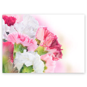 Поздравительная открытка с принтом Белые и розовые цветы , 100% бумага | плотность бумаги 280 г/м2, матовая, на обратной стороне линовка и место для марки
 | Тематика изображения на принте: лепестки | прикольные картинки | цветочки | цветы