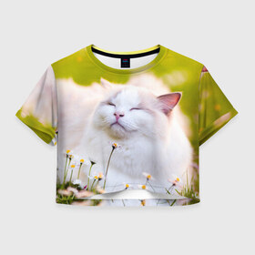 Женская футболка 3D укороченная с принтом Белая киса , 100% полиэстер | круглая горловина, длина футболки до линии талии, рукава с отворотами | cat | киса | котенок | кошка | лето | ромашки | солнце