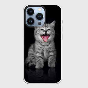 Чехол для iPhone 13 Pro с принтом Весёлый котик ,  |  | кот | кошка | прикол