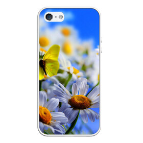 Чехол для iPhone 5/5S матовый с принтом Ромашки и бабочка , Силикон | Область печати: задняя сторона чехла, без боковых панелей | бабочки | лето | природа | ромашки | цветы