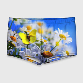 Мужские купальные плавки 3D с принтом Ромашки и бабочка , Полиэстер 85%, Спандекс 15% |  | бабочки | лето | природа | ромашки | цветы