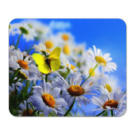 Коврик прямоугольный с принтом Ромашки и бабочка , натуральный каучук | размер 230 х 185 мм; запечатка лицевой стороны | бабочки | лето | природа | ромашки | цветы