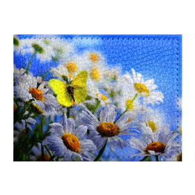 Обложка для студенческого билета с принтом Ромашки и бабочка , натуральная кожа | Размер: 11*8 см; Печать на всей внешней стороне | бабочки | лето | природа | ромашки | цветы