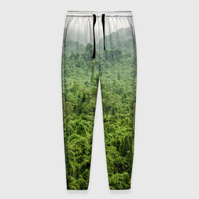Мужские брюки 3D с принтом Потрясающие тропики , 100% полиэстер | манжеты по низу, эластичный пояс регулируется шнурком, по бокам два кармана без застежек, внутренняя часть кармана из мелкой сетки | деревья | джунгли | зелень | красиво | лес | пейзаж | фото