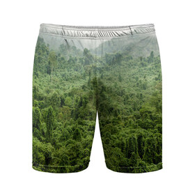 Мужские шорты 3D спортивные с принтом Потрясающие тропики ,  |  | деревья | джунгли | зелень | красиво | лес | пейзаж | фото