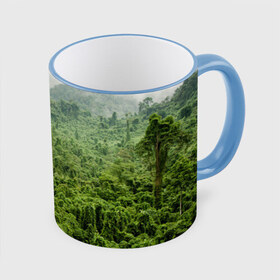 Кружка 3D с принтом Потрясающие тропики , керамика | ёмкость 330 мл | деревья | джунгли | зелень | красиво | лес | пейзаж | фото