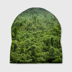 Шапка 3D с принтом Потрясающие тропики , 100% полиэстер | универсальный размер, печать по всей поверхности изделия | деревья | джунгли | зелень | красиво | лес | пейзаж | фото