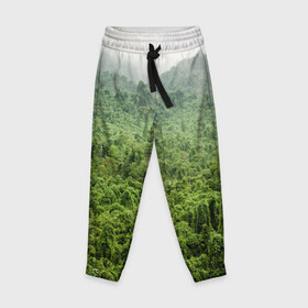 Детские брюки 3D с принтом Потрясающие тропики , 100% полиэстер | манжеты по низу, эластичный пояс регулируется шнурком, по бокам два кармана без застежек, внутренняя часть кармана из мелкой сетки | деревья | джунгли | зелень | красиво | лес | пейзаж | фото