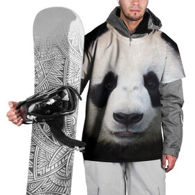Накидка на куртку 3D с принтом Милая панда , 100% полиэстер |  | Тематика изображения на принте: animal | hunny | panda | животные | классная | милая | милота | панда | фото | хорошая