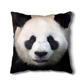 Подушка 3D с принтом Милая панда , наволочка – 100% полиэстер, наполнитель – холлофайбер (легкий наполнитель, не вызывает аллергию). | состоит из подушки и наволочки. Наволочка на молнии, легко снимается для стирки | animal | hunny | panda | животные | классная | милая | милота | панда | фото | хорошая