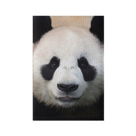 Обложка для паспорта матовая кожа с принтом Милая панда , натуральная матовая кожа | размер 19,3 х 13,7 см; прозрачные пластиковые крепления | Тематика изображения на принте: animal | hunny | panda | животные | классная | милая | милота | панда | фото | хорошая