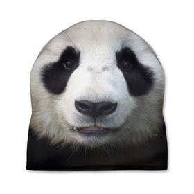Шапка 3D с принтом Милая панда , 100% полиэстер | универсальный размер, печать по всей поверхности изделия | animal | hunny | panda | животные | классная | милая | милота | панда | фото | хорошая