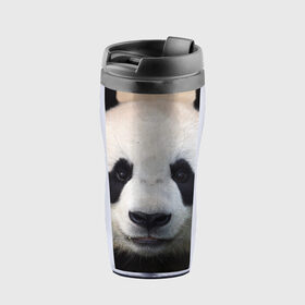 Термокружка-непроливайка с принтом Милая панда , внутренняя часть — пищевой пластик, наружная часть — прозрачный пластик, между ними — полиграфическая вставка с рисунком | объем — 350 мл, герметичная крышка | Тематика изображения на принте: animal | hunny | panda | животные | классная | милая | милота | панда | фото | хорошая
