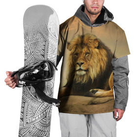 Накидка на куртку 3D с принтом Величиственый лев , 100% полиэстер |  | царь зверей
