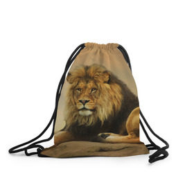 Рюкзак-мешок 3D с принтом Величиственый лев , 100% полиэстер | плотность ткани — 200 г/м2, размер — 35 х 45 см; лямки — толстые шнурки, застежка на шнуровке, без карманов и подкладки | царь зверей