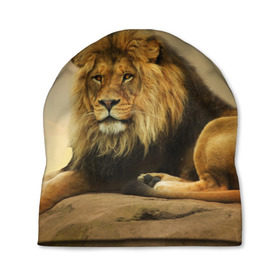 Шапка 3D с принтом Величиственый лев , 100% полиэстер | универсальный размер, печать по всей поверхности изделия | царь зверей