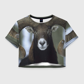 Женская футболка 3D укороченная с принтом Горный козел , 100% полиэстер | круглая горловина, длина футболки до линии талии, рукава с отворотами | горный козел | животные