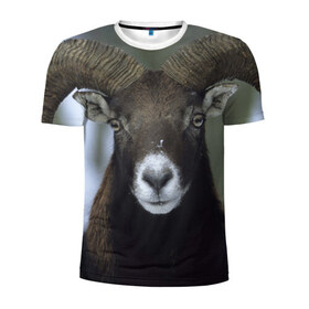 Мужская футболка 3D спортивная с принтом Горный козел , 100% полиэстер с улучшенными характеристиками | приталенный силуэт, круглая горловина, широкие плечи, сужается к линии бедра | горный козел | животные