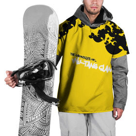 Накидка на куртку 3D с принтом Wu-Tang Clan , 100% полиэстер |  | Тематика изображения на принте: wu tang