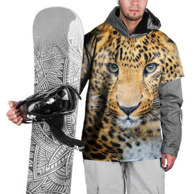 Накидка на куртку 3D с принтом Хищные животные , 100% полиэстер |  | леопард | пятнистый | хищник