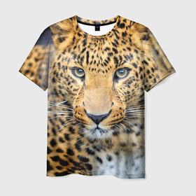 Мужская футболка 3D с принтом Хищные животные , 100% полиэфир | прямой крой, круглый вырез горловины, длина до линии бедер | леопард | пятнистый | хищник