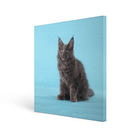 Холст квадратный с принтом Кот мейн кун , 100% ПВХ |  | котенок | мейнкун