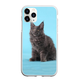 Чехол для iPhone 11 Pro матовый с принтом Кот мейн кун , Силикон |  | Тематика изображения на принте: котенок | мейнкун