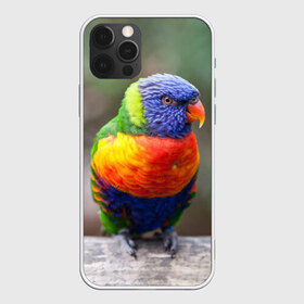 Чехол для iPhone 12 Pro Max с принтом Попугай , Силикон |  | пернатые | попугай | прикольные картинки | природа | птица