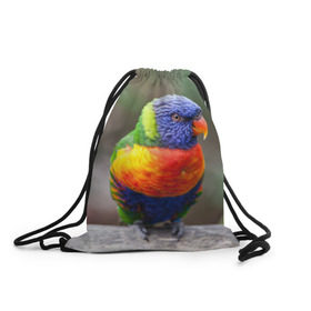 Рюкзак-мешок 3D с принтом Попугай , 100% полиэстер | плотность ткани — 200 г/м2, размер — 35 х 45 см; лямки — толстые шнурки, застежка на шнуровке, без карманов и подкладки | Тематика изображения на принте: пернатые | попугай | прикольные картинки | природа | птица