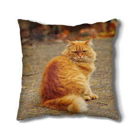 Подушка 3D с принтом Рыжий кот , наволочка – 100% полиэстер, наполнитель – холлофайбер (легкий наполнитель, не вызывает аллергию). | состоит из подушки и наволочки. Наволочка на молнии, легко снимается для стирки | Тематика изображения на принте: коты | кошки