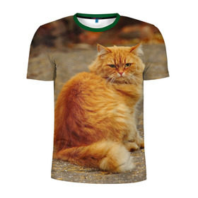 Мужская футболка 3D спортивная с принтом Рыжий кот , 100% полиэстер с улучшенными характеристиками | приталенный силуэт, круглая горловина, широкие плечи, сужается к линии бедра | Тематика изображения на принте: коты | кошки