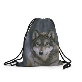 Рюкзак-мешок 3D с принтом Волк в лесу , 100% полиэстер | плотность ткани — 200 г/м2, размер — 35 х 45 см; лямки — толстые шнурки, застежка на шнуровке, без карманов и подкладки | 