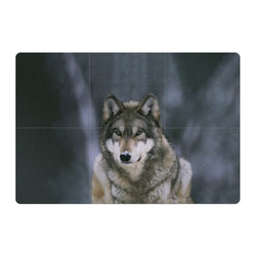 Магнитный плакат 3Х2 с принтом Волк в лесу , Полимерный материал с магнитным слоем | 6 деталей размером 9*9 см | 