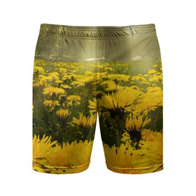 Мужские шорты 3D спортивные с принтом Цветочная поляна ,  |  | лес | поляна | прикольные картинки | цветочки | цветы