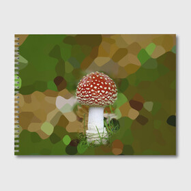 Альбом для рисования с принтом Мухоморчик , 100% бумага
 | матовая бумага, плотность 200 мг. | гриб | камуфляж | лес | мухомор | поганка | яд | ядовитый
