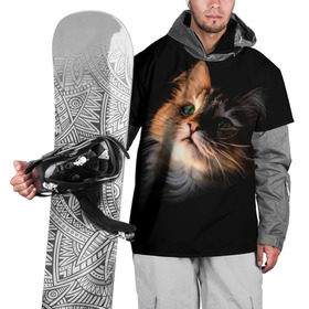 Накидка на куртку 3D с принтом Зеленоглазый котёнок , 100% полиэстер |  | Тематика изображения на принте: кот | кошка | прикольные картинки