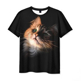 Мужская футболка 3D с принтом Зеленоглазый котёнок , 100% полиэфир | прямой крой, круглый вырез горловины, длина до линии бедер | Тематика изображения на принте: кот | кошка | прикольные картинки
