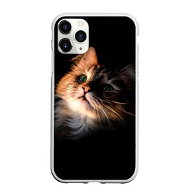Чехол для iPhone 11 Pro Max матовый с принтом Зеленоглазый котёнок , Силикон |  | Тематика изображения на принте: кот | кошка | прикольные картинки
